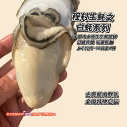 精品程村咸水蚝肉2斤装白蚝脆蚝大肥蚝蚝肉全国冷链包邮清蒸烧烤