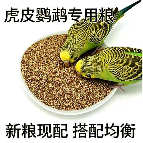 虎皮专用混合粮亮羽增肥营养全面