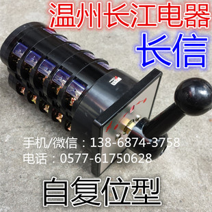 长信 10路线双电源自复位转换开关LW5D 温州长江电器 B6291