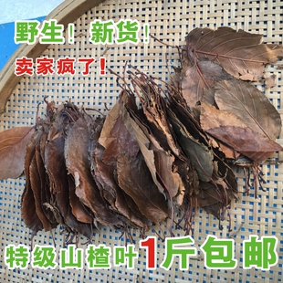 2023新货桂林野生山楂茶叶野山楂叶茶500g包邮养生茶