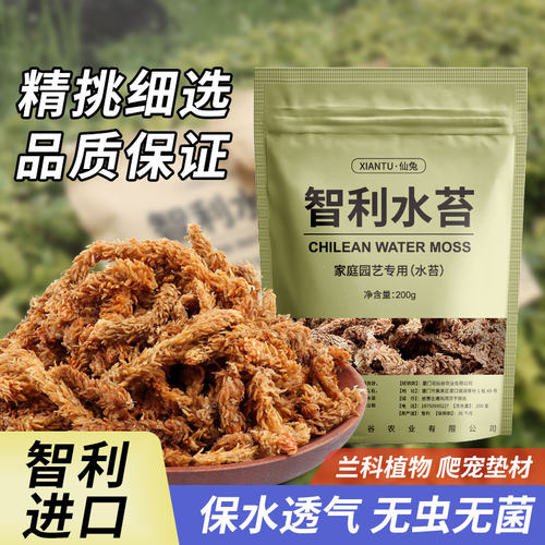 毛毛虫水苔蝴蝶兰专用土