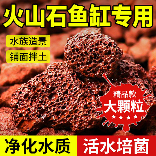 火山石养花专用养根透气