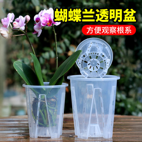 PP透明青山控根盆兰花专用花盆