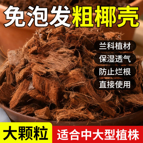 免泡发大块粗椰壳兰花植料