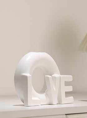 高雅大方花瓶大号轻奢高级网红diy玄关客厅书房卧室桌面装饰花束