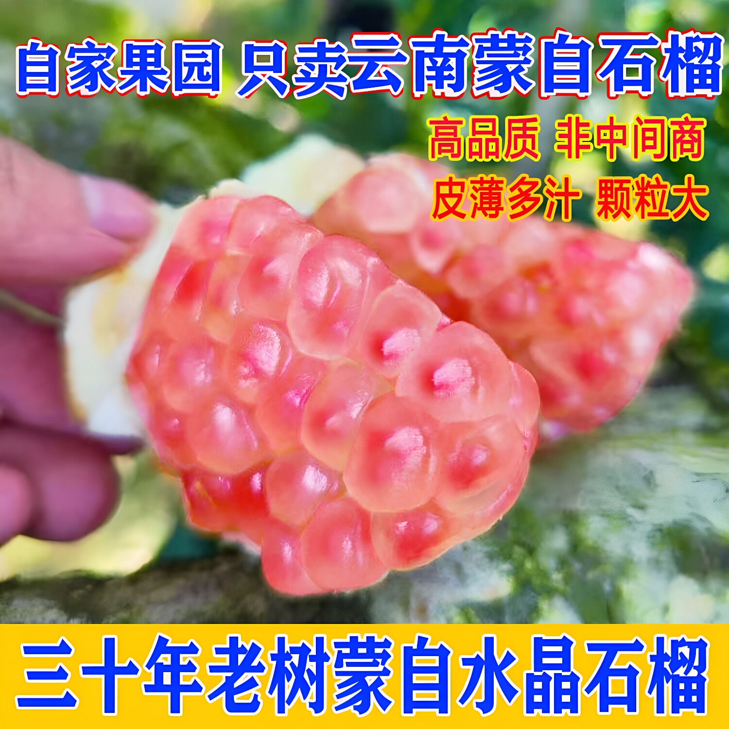 30年老树正宗云南蒙自禄籽甜石榴