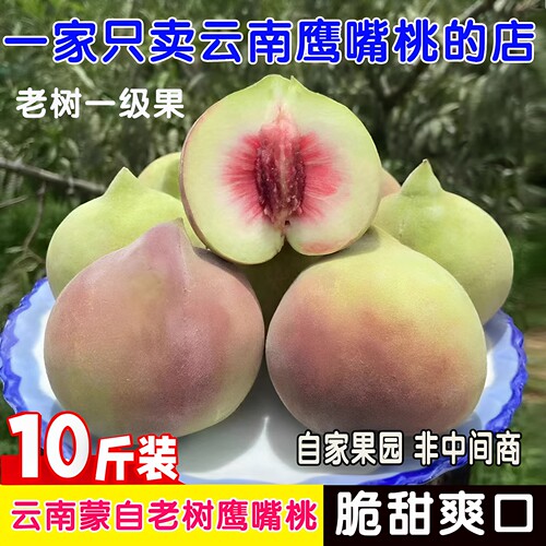 正宗云南蒙自鹰嘴桃蜜桃脆甜新鲜水果桃子水密毛桃产地直发特大果