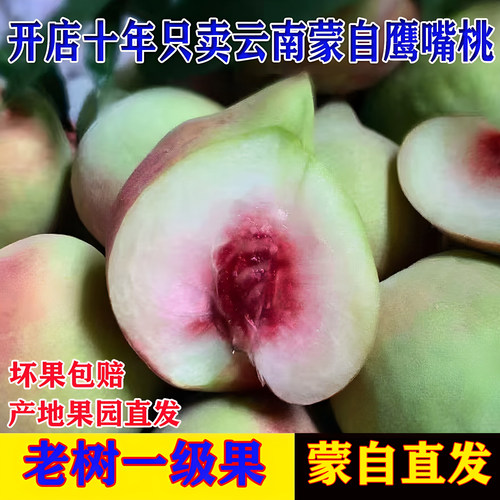 正宗云南蒙自鹰嘴桃新鲜水果高山脆蜜桃毛桃10斤大果包邮果园直发