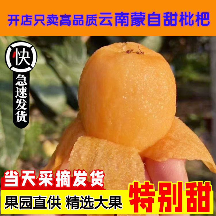 【顺丰】云南蒙自甜枇杷当季树上熟现摘新鲜长虹琵琶水果3斤5斤