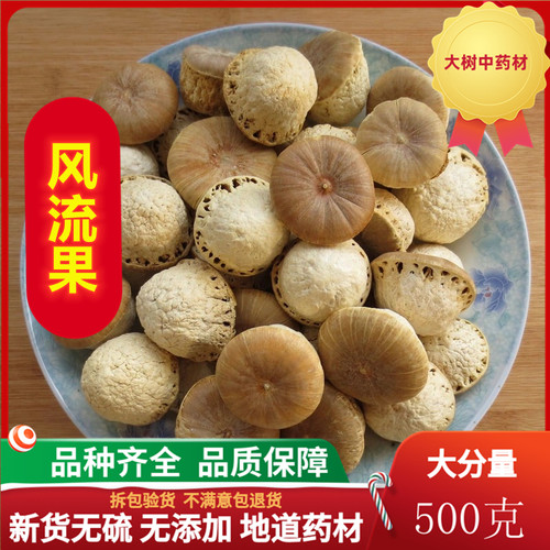 风流果野生龟头子大果天竺粒广西特级果厚鳞柯泡酒