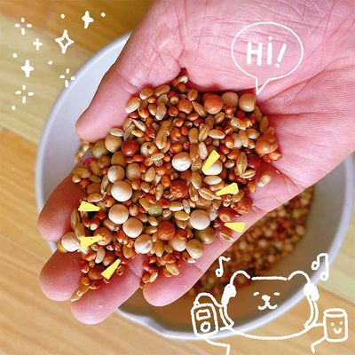 散装鸟粮有机五谷杂粮颗粒饱满户外鸟儿粮食观赏鸽粮野外饲养鸽粮