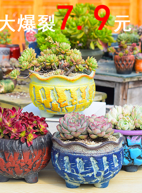 特价大号爆裂盆复古做旧多肉花盆粗陶瓷透气大口径肉肉盆器包邮