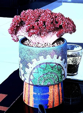 工厂直销满彩工艺个性复古多肉花盆高桩老桩法师肉肉盆清仓