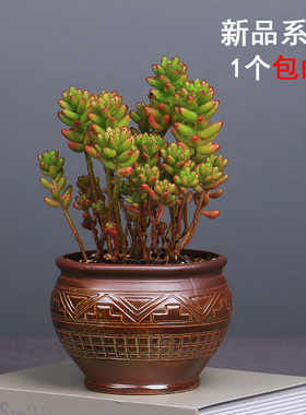 1个包邮复古简约大号多肉花盆粗陶瓷 透气素烧老桩肉肉盆器