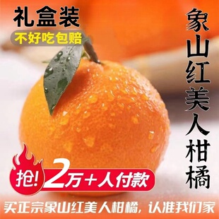 现摘正宗象山红美人柑橘爱媛果冻橙28号爆汁甜无核无渣礼盒装包邮