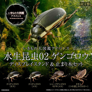 万代日本正版 生物大图鉴 水生昆虫 龙虱02 可动模型摆件手办扭蛋