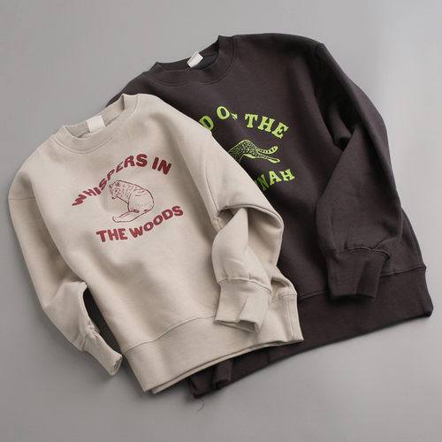 19133日系中童儿童加绒卫衣2025男童女童印花休闲运动上衣100-160