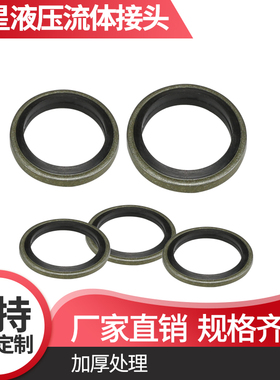 JB982垫圈垫片密封圈组合垫片油垫圈 公制组合垫金属密封组合垫片