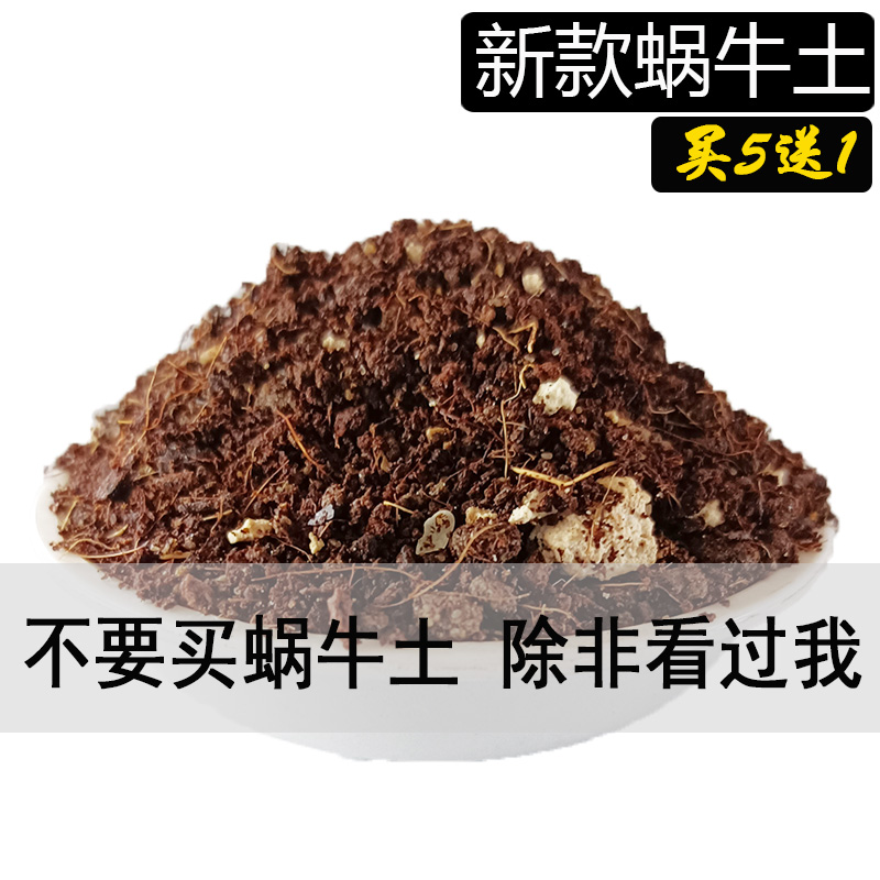 蜗牛饲养土沙白玉蜗牛筑巢过冬