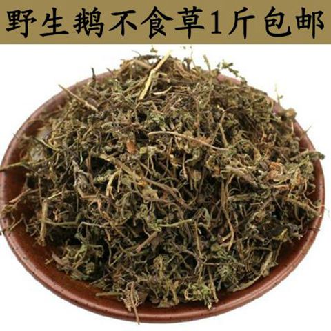 新货鹅不食草 中药材无硫鹅不食草新货 可免费打粉 正品500克包邮
