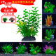 鱼缸造景仿真水草植物假水草水族箱假山装 饰大小号迷你塑料花水草