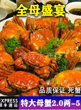 宝应湖大闸蟹红膏香甜肉质肥美全母4两共10只鲜活水产江浙沪包邮