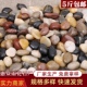 雨花石原石天然清仓鹅卵石石头花盆铺面鱼缸造景工程铺路5斤 包邮