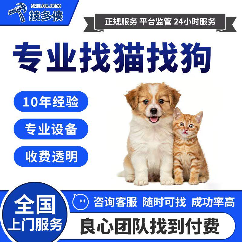 找猫专业团队找狗寻宠寻狗上门同城宠物丢失寻猫启事猫犬救援服务
