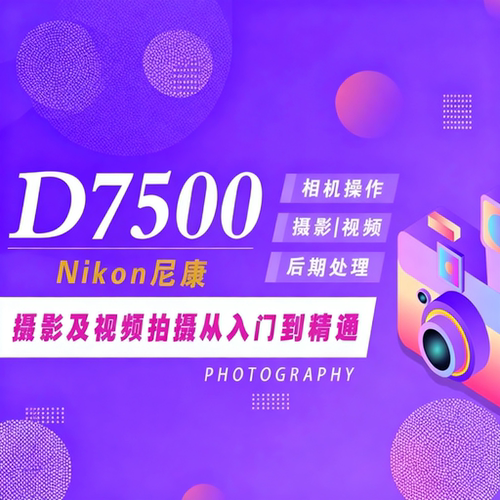 适用于尼康D7500摄影视频教程短视频拍摄人像风光好机友摄影