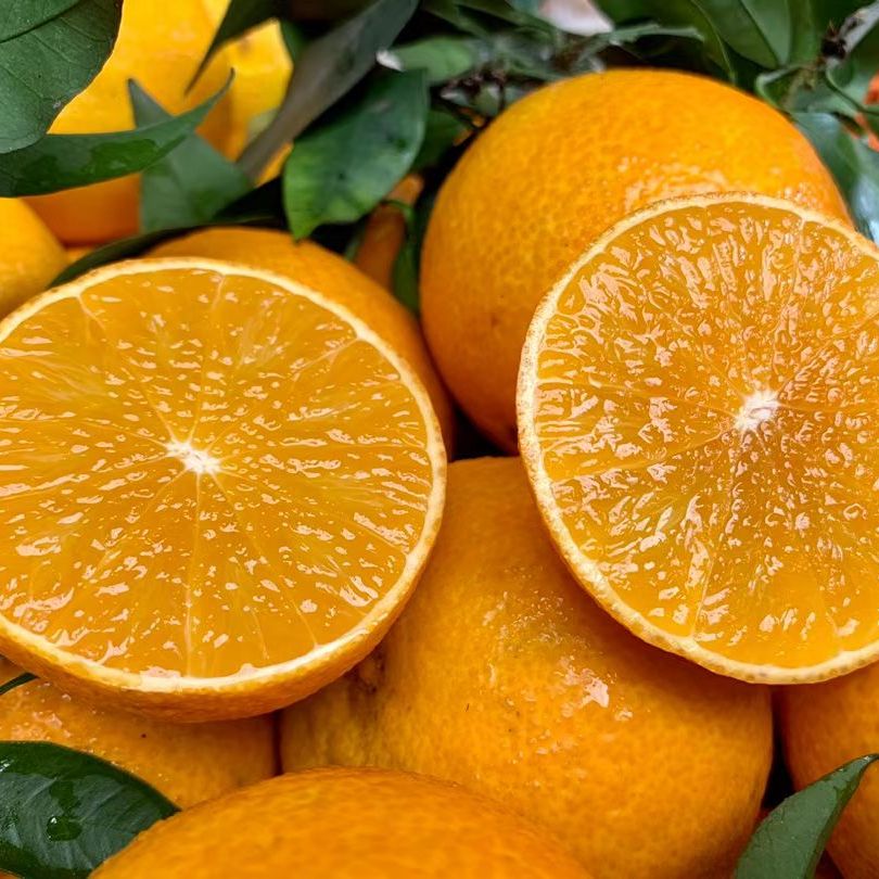 【顺丰发货】正宗爱媛38号爱媛果冻橙新鲜当季橙子水果柑橘