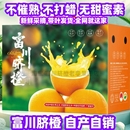 广西正宗富川脐橙富川橙子农家自种 脐橙富川脐橙高山水果富川 包邮