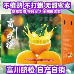 广西正宗富川脐橙富川橙子农家自种包邮脐橙富川脐橙高山水果富川