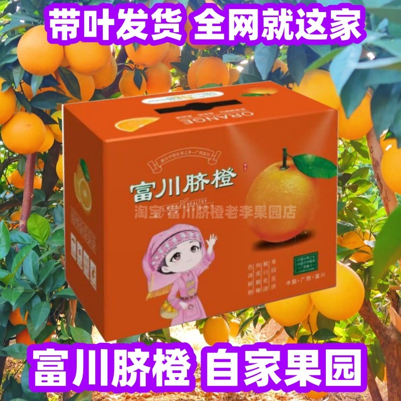 富川脐橙广西当季水果橙子包邮正宗富川脐橙包邮甜橙瑶山脐橙富川