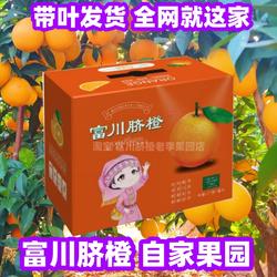 富川脐橙广西当季水果橙子包邮正宗富川脐橙包邮甜橙瑶山脐橙富川