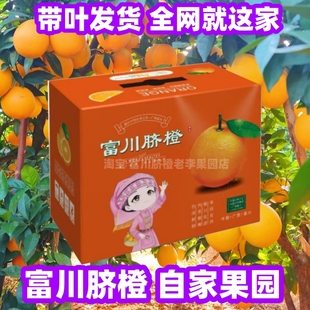 富川脐橙广西当季水果橙子包邮正宗富川脐橙包邮甜橙瑶山脐橙富川