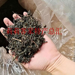 包邮 梅州特产 二春绿茶 东石绿茶 茶叶 绿茶 赤汤绿茶500克