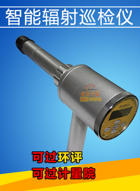 上海申核FD-3013H环境辐射检测仪