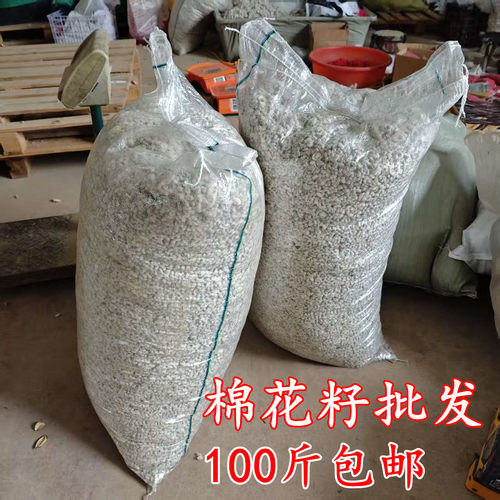 带毛棉花籽批发100斤婚庆用品红白事用品批发