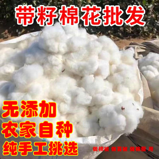 棉花带籽散装农家自种棉花纯天然未加工有籽干净结婚生子做被子棉