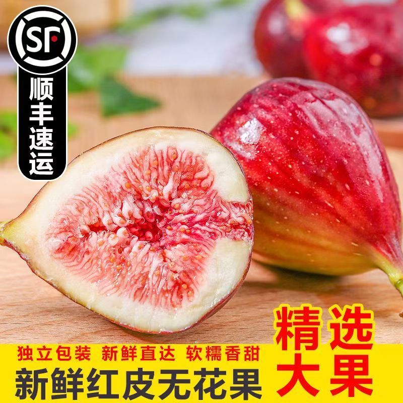 新鲜无花果现摘发顺丰【可做糖葫芦餐饮汤锅打底】水果无花果鲜果