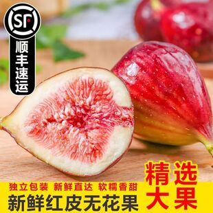 可做糖葫芦餐饮汤锅打底 新鲜无花果现摘发顺丰 水果无花果鲜果