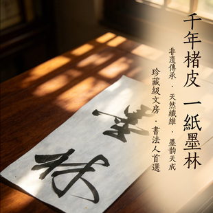 书法专用宣纸 手工楮皮纸 8分熟半生熟 行草篆隶书纸 加厚不洇墨
