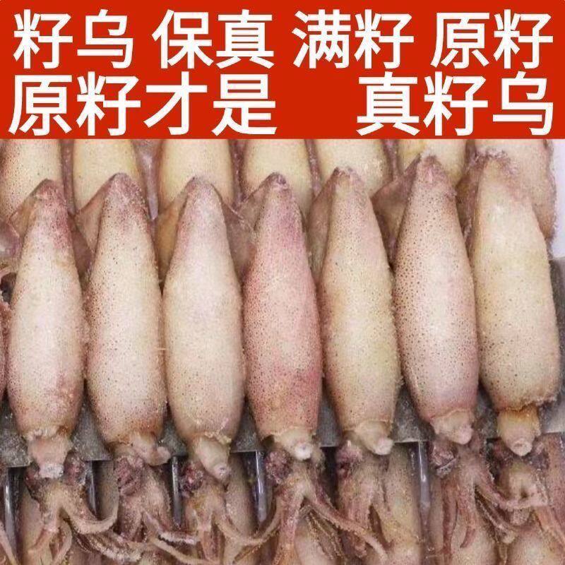 新鲜全籽籽乌带籽海兔子东山小管满籽笔管鱼冷冻鱿鱼仔批发满籽