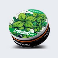 snus瑞典唇煙zyn口含煙袋泰德茲替煙snus含煙果味閃電小煙小白袋