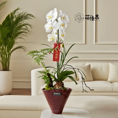 景德镇轻奢透气高脚陶瓷花盆