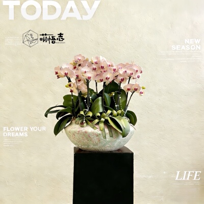 景德镇仿古侘寂禅意陶瓷花盆清仓