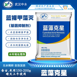 蓝裸克星 景观池水产养殖蓝裸甲藻灭 绿藻青苔调节水质蓝藻分解酶