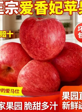 新西兰爱妃苹果山东烟台苹果香妃苹果当季时令新鲜脆甜丑水果包邮