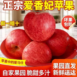新西兰爱妃苹果山东烟台苹果香妃苹果当季时令新鲜脆甜丑水果包邮