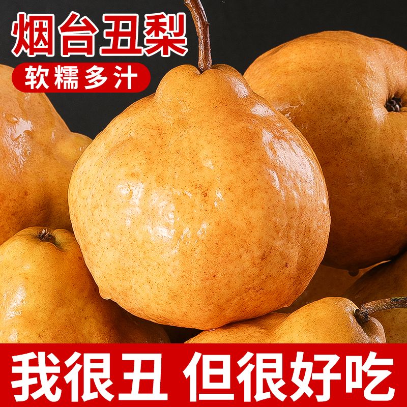 正宗当季新鲜山东特产太婆梨